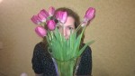 Аватара пользователя