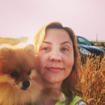 Аватара пользователя