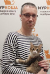 Аватара пользователя