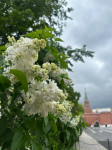 Аватара пользователя