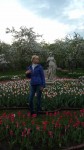 Аватара пользователя