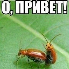 Флудилка. Болталка. Трепалка - QIjWHQTia2c.jpg