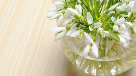 Встречи. Обсуждения встреч. Планирование. - i.jpeg
