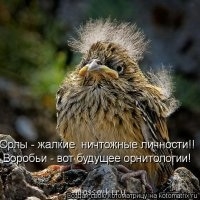 Встречи. Обсуждения встреч. Планирование. - image.jpg