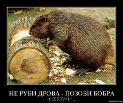 Встречи. Обсуждения встреч. Планирование. - imagesапт.jpg