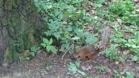 Резерв на утро и на день - image.jpeg