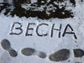 Флудилка. Болталка. Трепалка - 2016-2017 - весна 1.jpg