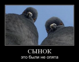 Флудилка. Болталка. Трепалка - 2016-2017 - x_b8f69be0.jpg