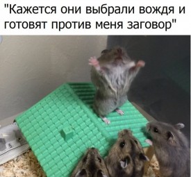 Флудилка. Болталка. Трепалка - 2016-2017 - qHwRjXaJ1ss.jpg