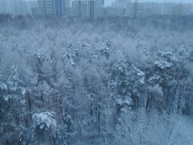 Флудилка. Болталка. Трепалка - 2016-2017 - 20170327_063430.jpg