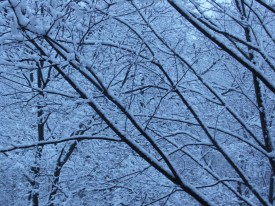 Флудилка. Болталка. Трепалка - 2016-2017 - PICT0110.JPG