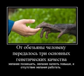 Флудилка. Болталка. Трепалка - 2016-2017 - kartinki_s_podpisjami_144_foto_107 (1).jpg