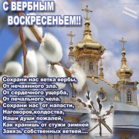 Флудилка. Болталка. Трепалка - 2016-2017 - IMG_3489.JPG