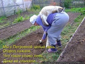 Флудилка. Болталка. Трепалка - 2016-2017 - 1470995364_1317984092_7.jpg