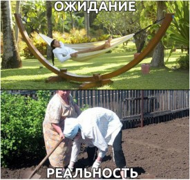 Флудилка. Болталка. Трепалка - 2016-2017 - 7695150.jpg
