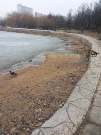 Флудилка. Болталка. Трепалка - 2016-2017 - 20170406_085841.jpg
