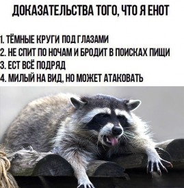 Флудилка. Болталка. Трепалка - 2016-2017 - 18119450_323176921434100_7673028054930997895_n.jpg