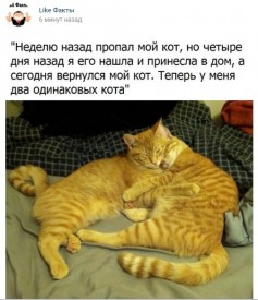 Флудилка. Болталка. Трепалка - 2016-2017 - Безымянныйитрг.jpg