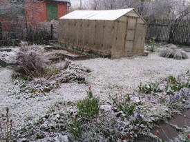 Флудилка. Болталка. Трепалка - 2016-2017 - IMG_20170511_184817.jpg