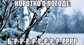 Флудилка. Болталка. Трепалка - 2016-2017 - IMG-20170511-WA0002.jpg