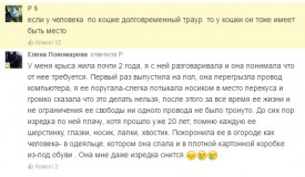 Флудилка. Болталка. Трепалка - 2016-2017 - Безымянныйитор.jpg