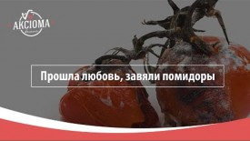 Флудилка. Болталка. Трепалка - 2016-2017 - любовь-1.jpg