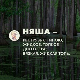 Флудилка. Болталка. Трепалка - 2016-2017 - g41ueGtC2cc.jpg