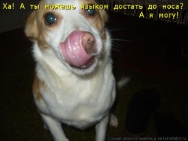 Флудилка. Болталка. Трепалка - 2016-2017 - язык.jpg