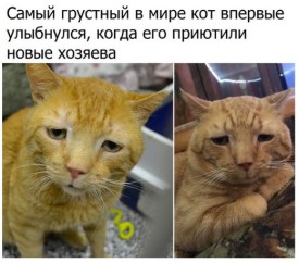 Флудилка. Болталка. Трепалка - 2016-2017 - апнрог.jpg