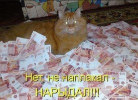 Флудилка. Болталка. Трепалка - 2016-2017 - тирог.jpg