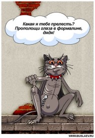 Флудилка. Болталка. Трепалка - 2016-2017 - 71c7dc4bcc71.jpg