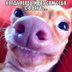 Флудилка. Болталка. Трепалка - 2016-2017 - 0_db39c_4d205b12_orig.jpg