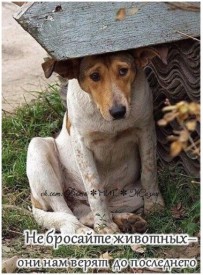 Флудилка. Болталка. Трепалка - 2016-2017 - тирогш.jpg