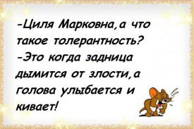 Флудилка. Болталка. Трепалка - 2016-2017 - Толерантность.jpg