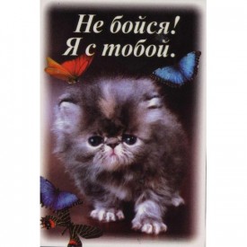 Флудилка. Болталка. Трепалка - 2016-2017 - кот.jpg
