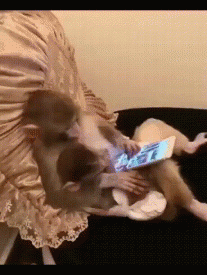 https://gif1.mycdn.me/image?id=850506405438&amp;t=45&amp;plc=WEB&amp;tkn=*93k6vysndluillXx3aiU4yAgsSY