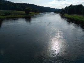 Флудилка. Болталка. Трепалка - 2016-2017 - IMG_20170903_155831.jpg