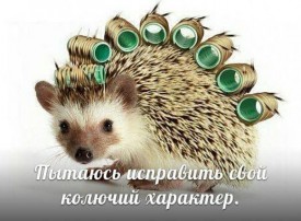 Флудилка. Болталка. Трепалка - 2016-2017 - 11840_760x500.jpg