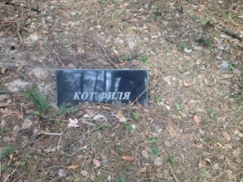 Флудилка. Болталка. Трепалка - 2016-2017 - Филя.jpg