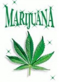 Флудилка. Болталка. Трепалка - 2016-2017 - Weed+Leaves+Graphics.jpg