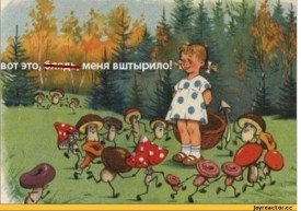 Флудилка. Болталка. Трепалка - 2016-2017 - гриб.JPG