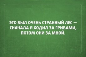 Флудилка. Болталка. Трепалка - 2016-2017 - 203691783_160adc9f37f539895f71fdf01696e5d0_800.jpg