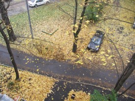 Флудилка. Болталка. Трепалка - 2016-2017 - PICT1596.JPG
