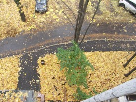 Флудилка. Болталка. Трепалка - 2016-2017 - PICT1597.JPG