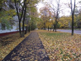 Флудилка. Болталка. Трепалка - 2016-2017 - PICT1554.JPG