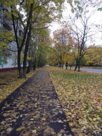 Флудилка. Болталка. Трепалка - 2016-2017 - PICT1555.JPG
