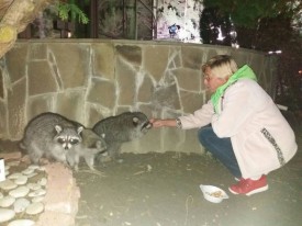 Флудилка. Болталка. Трепалка - 2016-2017 - IMG-20171019-WA0037.jpg
