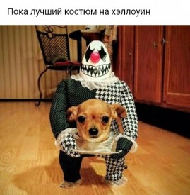 Флудилка. Болталка. Трепалка - 2016-2017 - IMG_20171102_010742_101.jpg