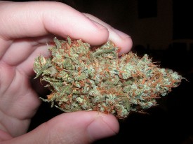 Флудилка. Болталка. Трепалка - 2016-2017 - trainwreck-weed.jpg