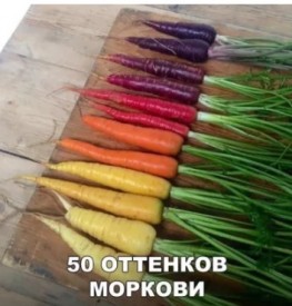 Флудилка. Болталка. Трепалка - 2016-2017 - Безымянныйрпекуцш.jpg